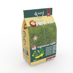 Seminte gazon Practic, 4 kg