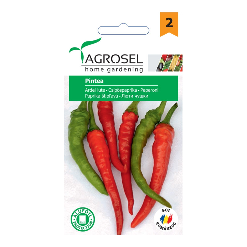 Seminte legume Agrosel, ardei iute Pintea