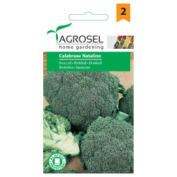Seminte legume Agrosel, broccoli Calabrese