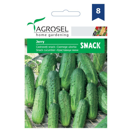 Seminte legume Agrosel, castraveti Jerry