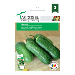 Seminte legume Agrosel, castraveti Metex F1