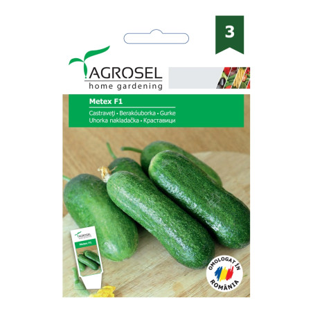 Seminte legume Agrosel, castraveti Metex F1