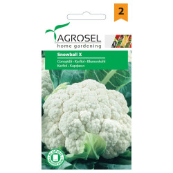 Seminte legume Agrosel, conopida Snowball