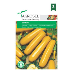 Seminte legume Agrosel, dovleac Goldena