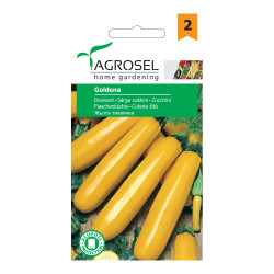 Seminte legume Agrosel, dovlecel Goldena