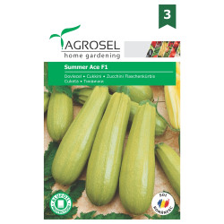 Seminte legume Agrosel, dovlecel Summer Ace F1