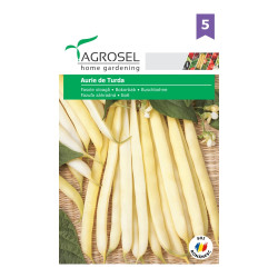 Seminte legume Agrosel, fasole Aurie de Turda