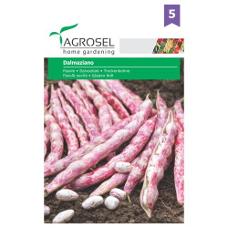 Seminte legume Agrosel, fasole Dalmaziano