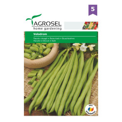 Seminte legume Agrosel, fasole verde oloaga Velodrom