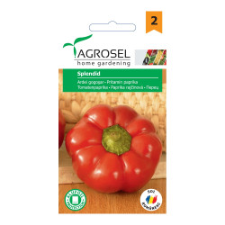 Seminte legume Agrosel, gogosari Splendid