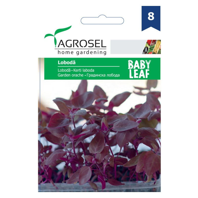 Seminte legume Agrosel, loboda