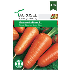 Seminte legume Agrosel, morcovi Chantenay Red Cored 2