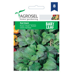 Seminte legume Agrosel, mustar