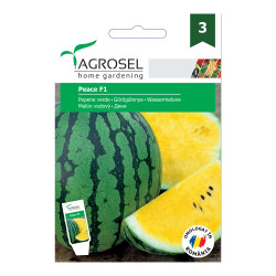 Seminte legume Agrosel, pepene verde Peace F1
