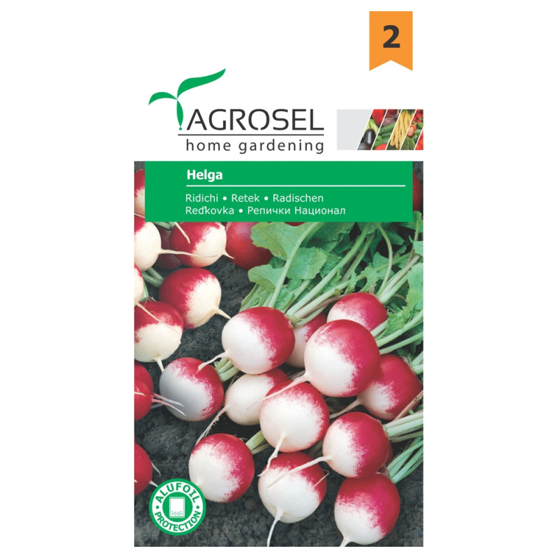Seminte legume Agrosel, ridichi Helga