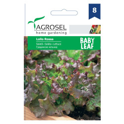 Seminte legume Agrosel, salata Lollo Rossa
