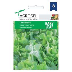 Seminte legume Agrosel, salata verde Lollo Bionda