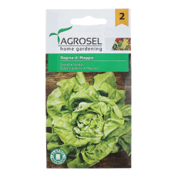 Seminte legume Agrosel, salata verde Regina Di Maggio AS-PG2