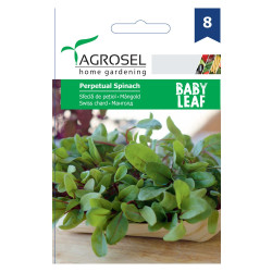 Seminte legume Agrosel, sfecla petiol Perpetual Spinach