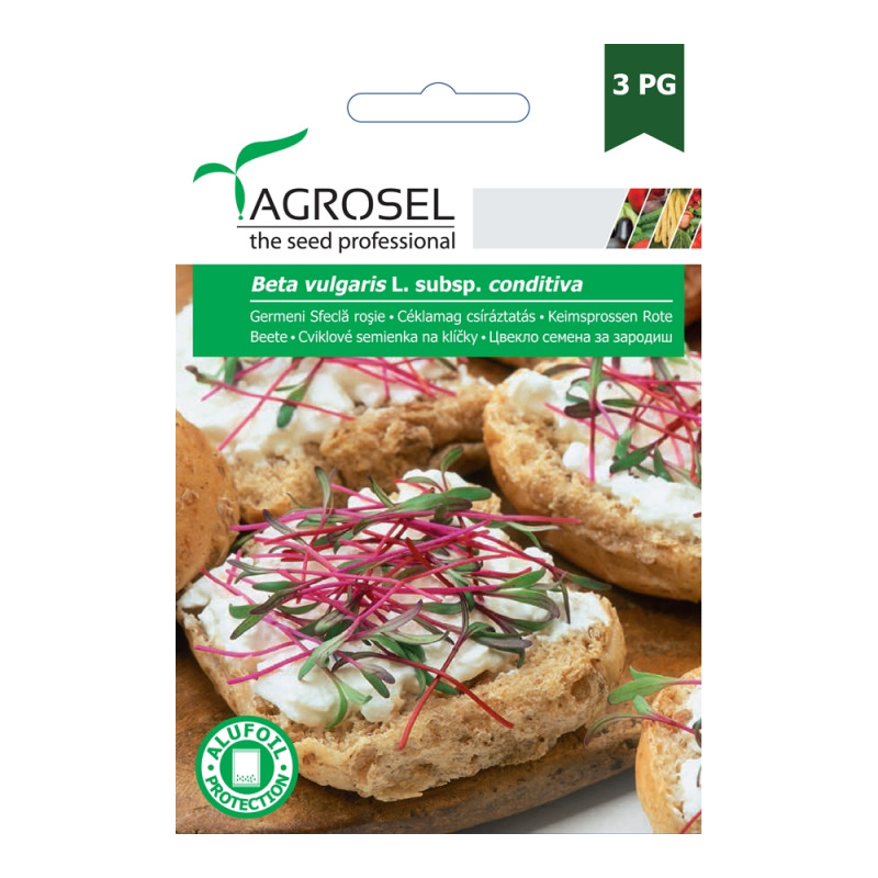 Seminte legume Agrosel, sfecla rosie germeni