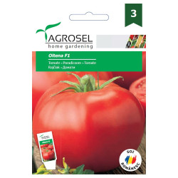Seminte legume Agrosel, tomate Oltenia F1