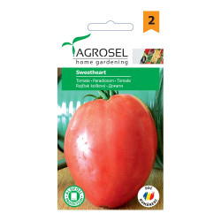 Seminte legume Agrosel, tomate Sweetheart PG2