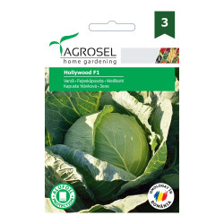 Seminte legume Agrosel, varza Hollywood F1