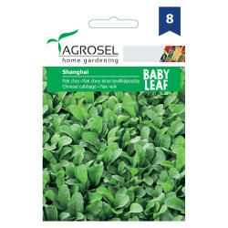 Seminte legume Agrosel, varza Pak Choi Shangai
