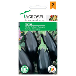 Seminte legume Agrosel, vinete Corvus