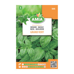 Seminte legume Amia A, busuioc Grand Vert