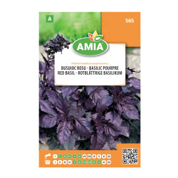Seminte legume Amia A, busuioc rosu