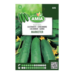 Seminte legume Amia A, castraveti Marketer