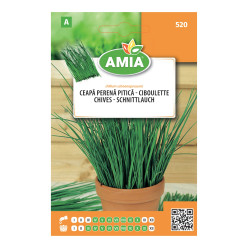 Seminte legume Amia A , ceapa perena pitica