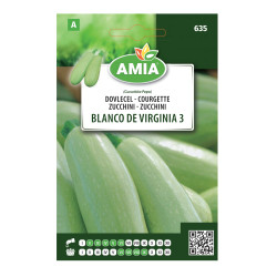 Seminte legume Amia A, dovlecel Blanco de Virginia 3
