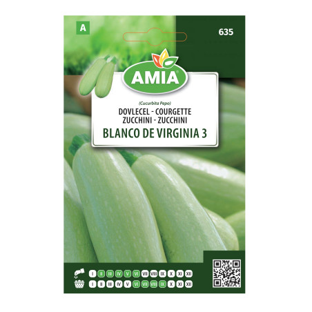 Seminte legume Amia A, dovlecel Blanco de Virginia 3
