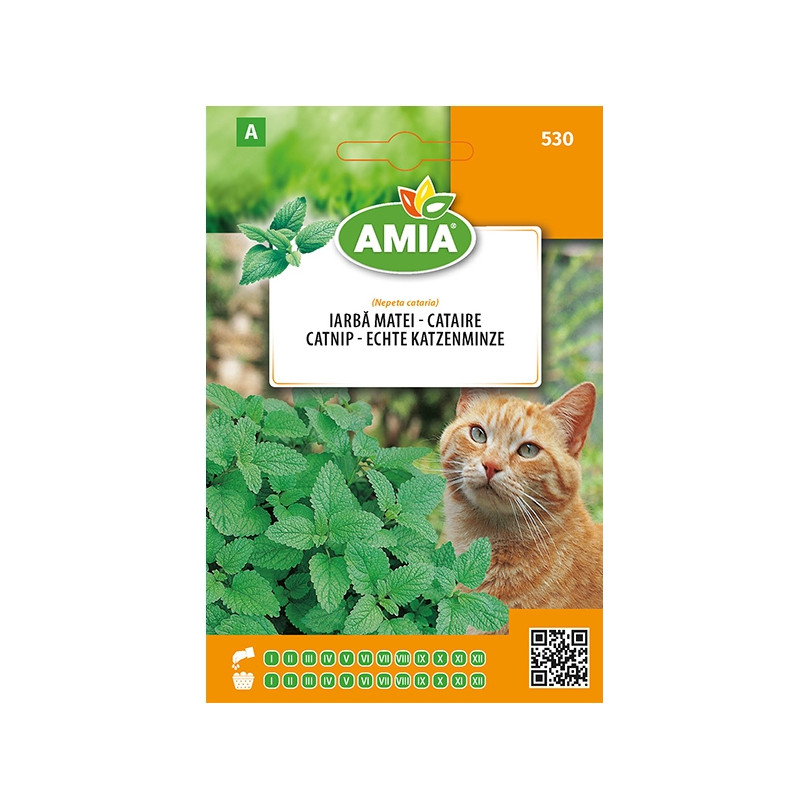Seminte legume Amia A, iarba pentru pisica