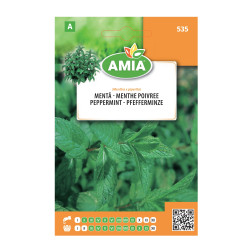 Seminte legume Amia A, menta