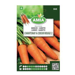Seminte legume Amia A, morcov Chantenay a coeur rouge