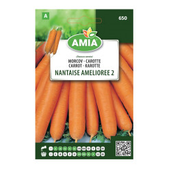Seminte legume Amia A, morcov Nantaise Amelioree 2