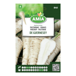 Seminte legume Amia A, pastarnac De Guernesey