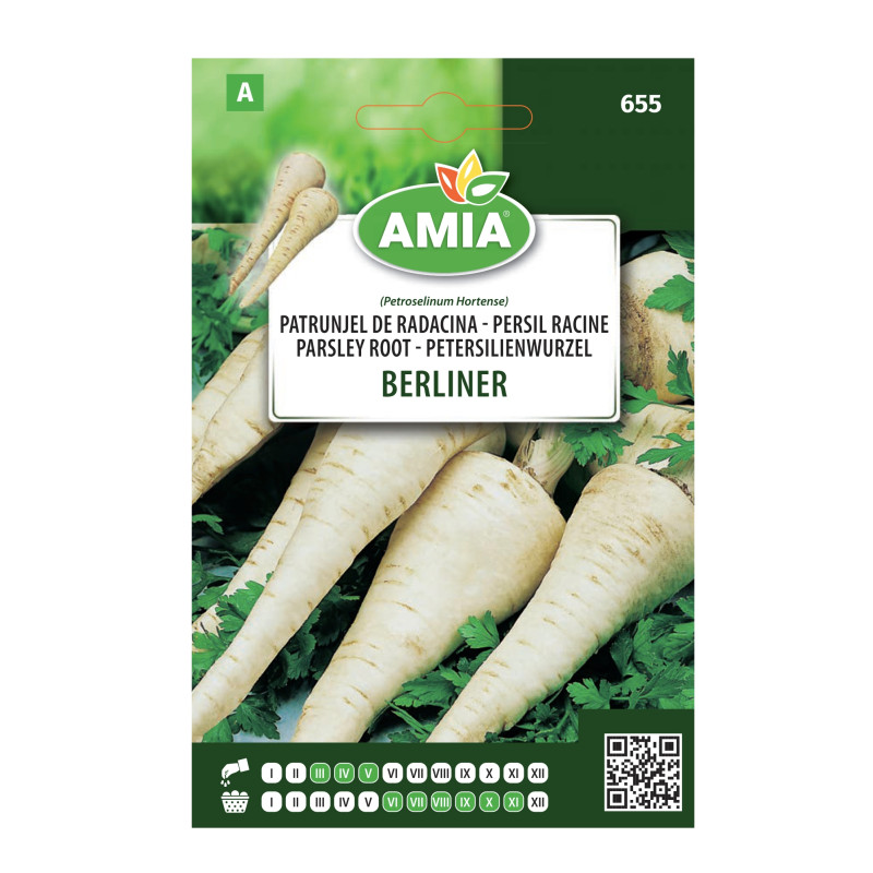 Seminte legume Amia A, patrunjel de radacina Berliner