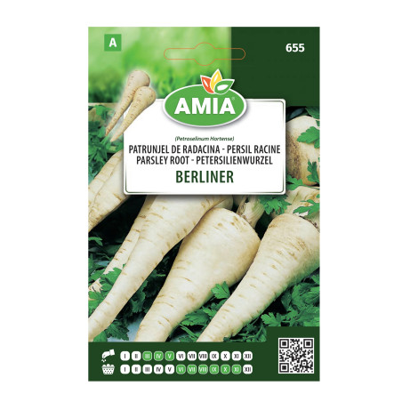 Seminte legume Amia A, patrunjel de radacina Berliner