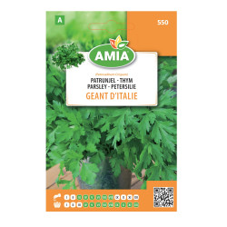 Seminte legume Amia A, patrunjel Geant D'Italie