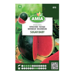 Seminte legume Amia A, pepene verde Sugar Baby