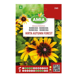 Seminte legume Amia A, Rudbeckia Hirta Autumn Forest