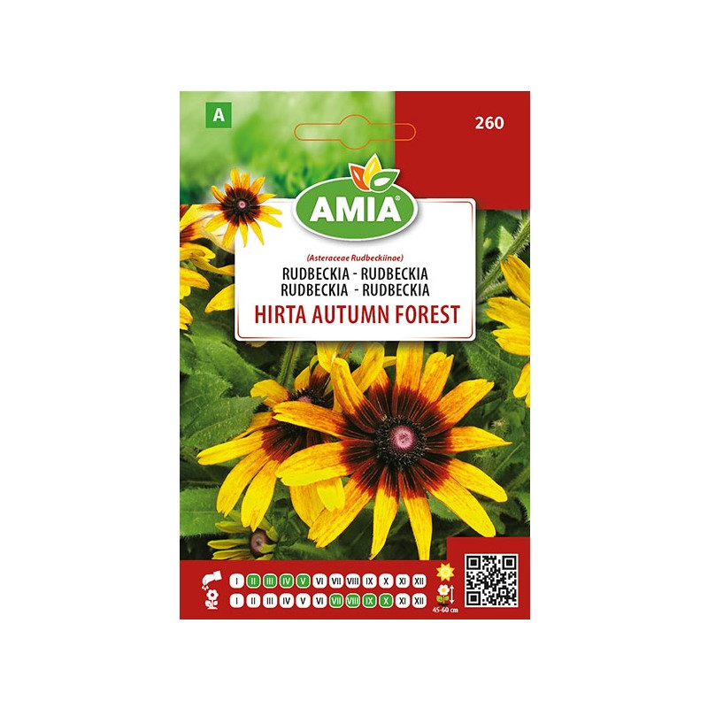 Seminte legume Amia A, Rudbeckia Hirta Autumn Forest