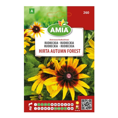 Seminte legume Amia A, Rudbeckia Hirta Autumn Forest