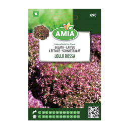 Seminte legume Amia A, salata Lollo Rossa