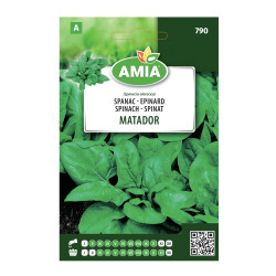 Seminte legume Amia A, spanac Matador