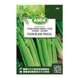Seminte legume Amia A, telina frunze Blanc Pascal